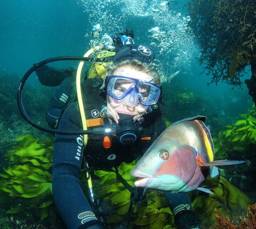 Go Diving in the Bay of Islands